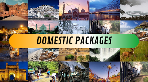 Domestic tour packages in Pitampura